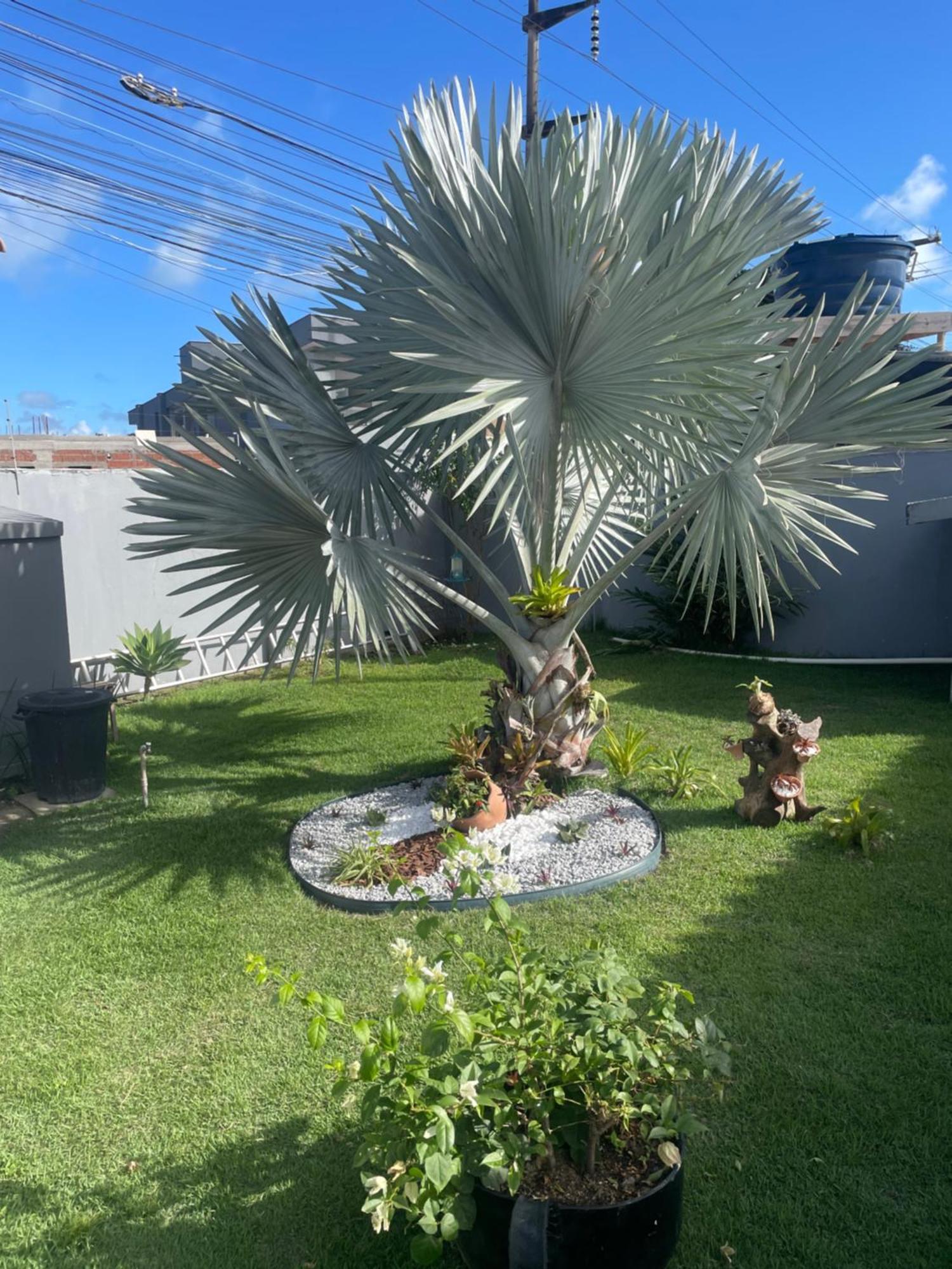 Apartamento no Taperapuan Duplex Porto Seguro Exterior foto